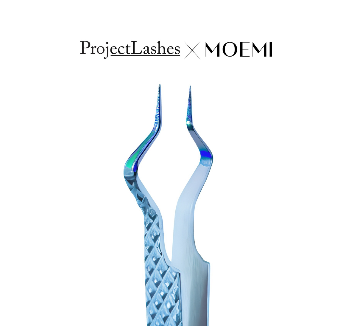 Peseta modliszka ProjectLashes X MOEMI niebieska
