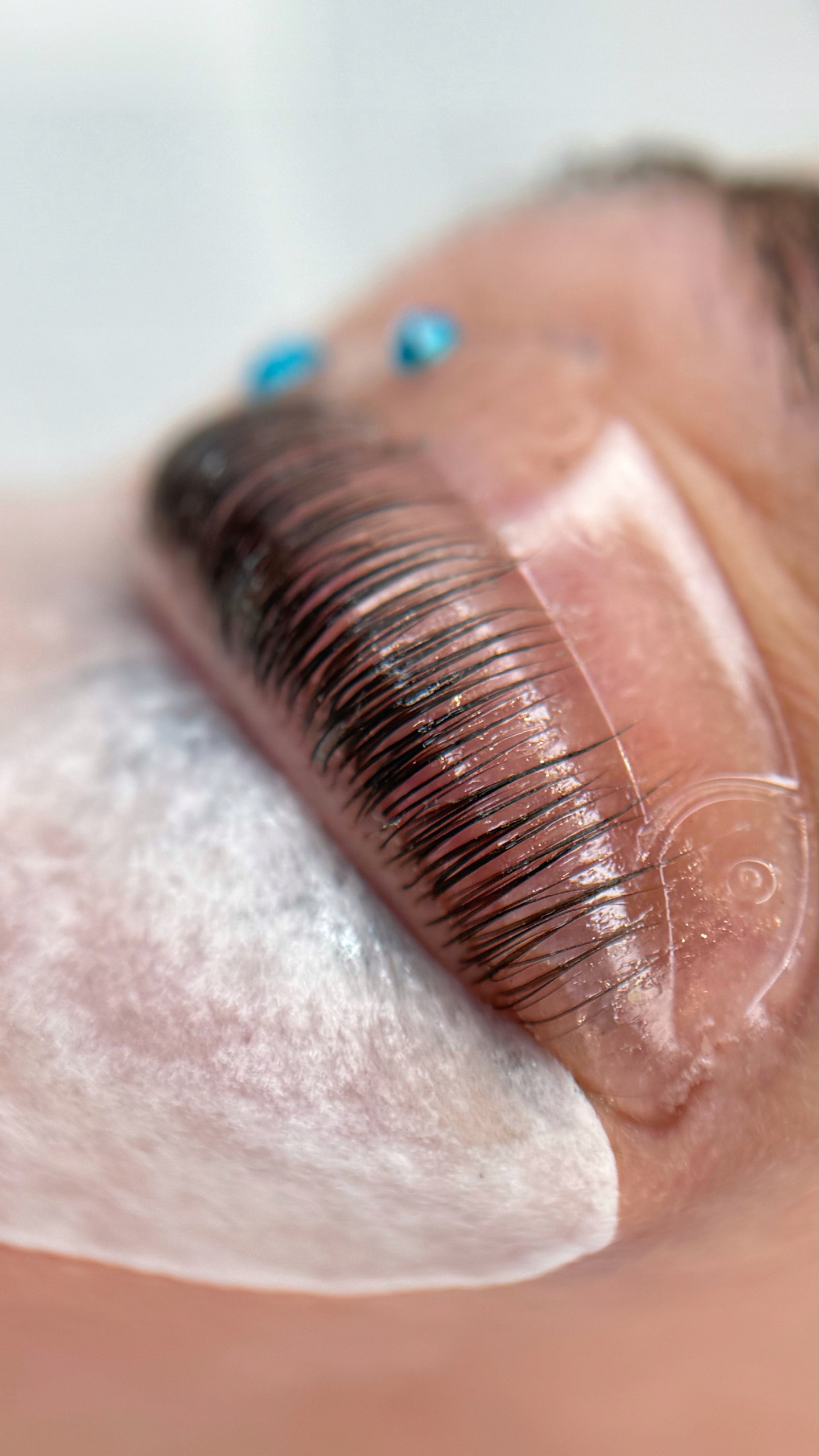 Silikonowe wałeczki wałki do liftingu rzęs ProjectLashes Rose Fins 5 par